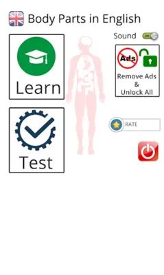 Learn Body Parts in English android App screenshot 5